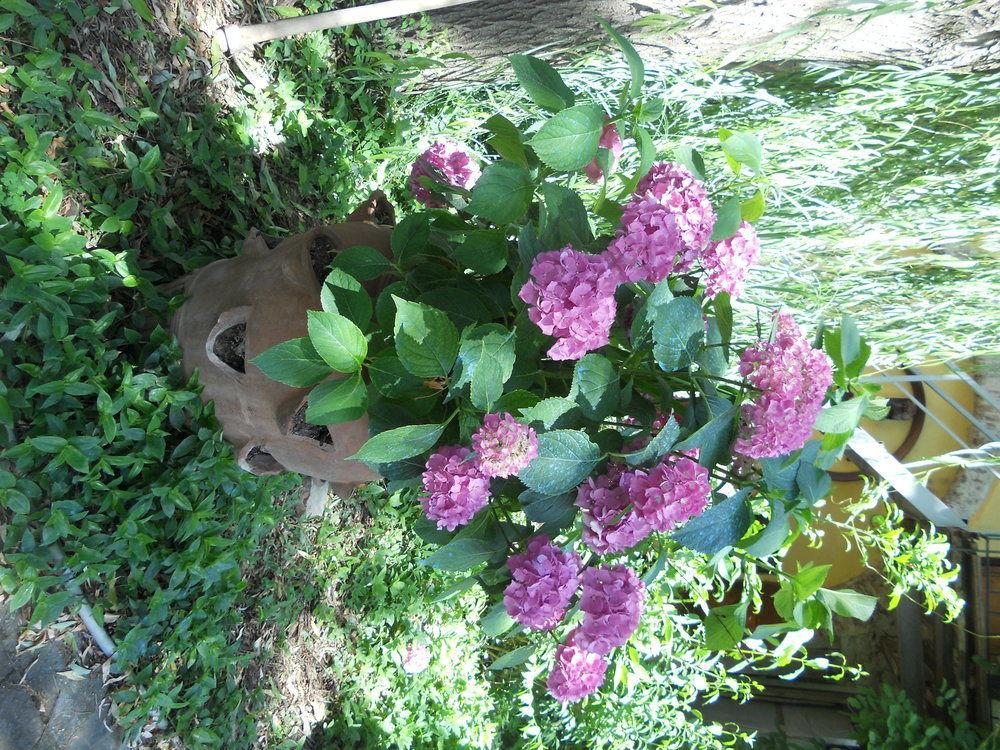 Agriturismo Le Macine Florence Buitenkant foto