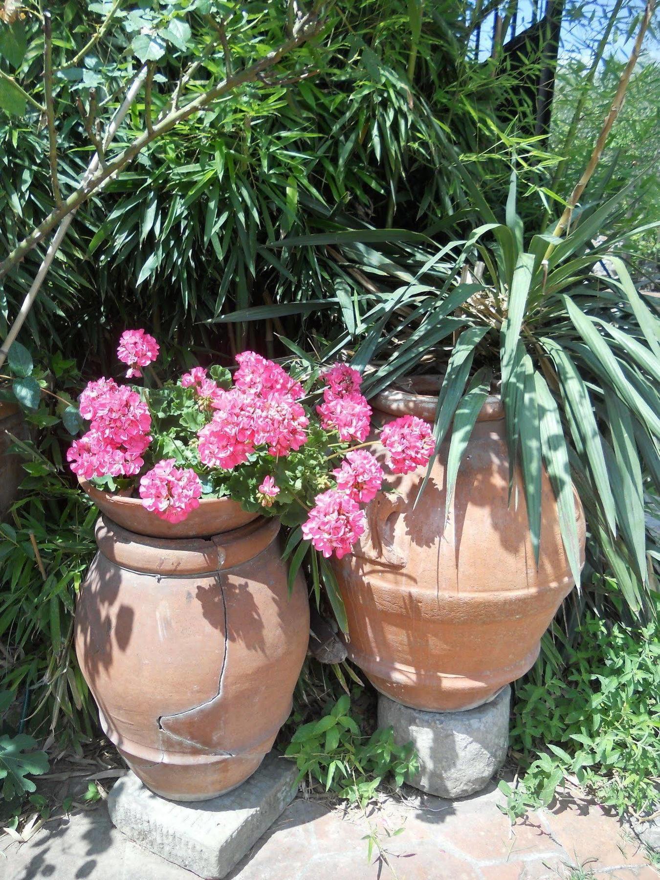 Agriturismo Le Macine Florence Buitenkant foto
