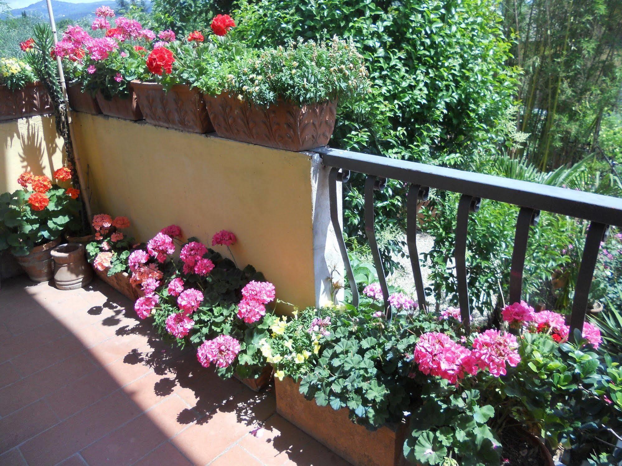 Agriturismo Le Macine Florence Buitenkant foto